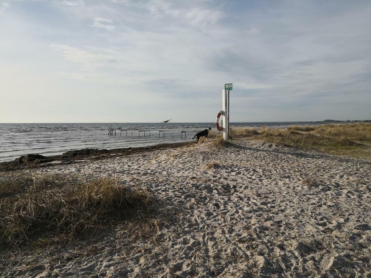 Spurvereden Ved Vandet Greve Exterior foto